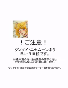 Page 27 of artist:桜咲姫 - preview thumbnail