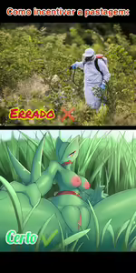 Page 428 of Memes Eróticos Explicitos - preview thumbnail