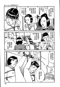 Page 259 of 花と蛇 第一集 - preview thumbnail