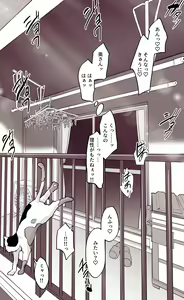 Page 651 of ぽりうれたん (19417472) 2026.06.15 - preview thumbnail