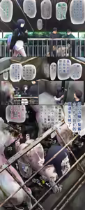Page 99 of AI翻译 2025.2-2026.6 - preview thumbnail