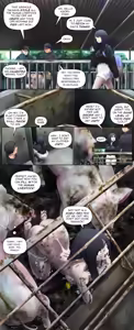 Page 100 of AI翻译 2025.2-2026.6 - preview thumbnail
