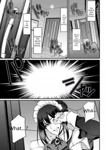 Page 207 of Maid no Oshigoto (decensored) - preview thumbnail