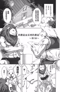 Page 18 of 狮子的茶色鬃毛2 - preview thumbnail