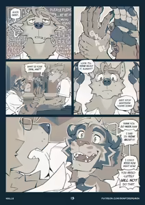Page 13 of WALLS - preview thumbnail