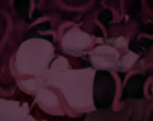 Page 578 of NULL - preview thumbnail