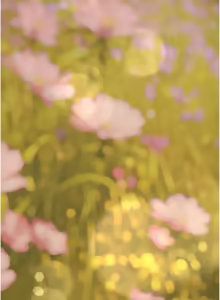 Page 312 of 义父 | 義父 1-22 - preview thumbnail