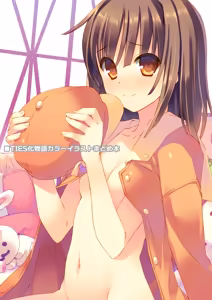 TIES Bakemonogatari Color Illustration Compilation Book - hentai manga cover image