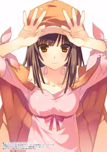 Page 8 of TIES Bakemonogatari Color Illustration Compilation Book - preview thumbnail