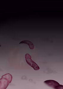 Page 19 of Yurizono Seia tentacle - preview thumbnail