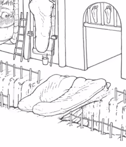 Page 4 of 贝子 @ArcticBei X.com Gallery. - preview thumbnail