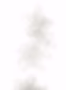 Page 1412 of 16x647 - preview thumbnail