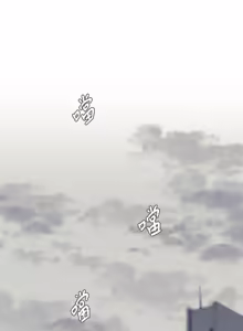 Page 244 of 16x647 - preview thumbnail