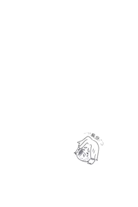 Page 56 of Image Set - preview thumbnail