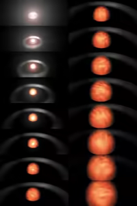 Page 482 of Prostudent Good - preview thumbnail