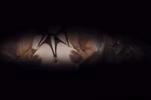Page 507 of FANBOX - FULL GALLERY Part.1 - preview thumbnail