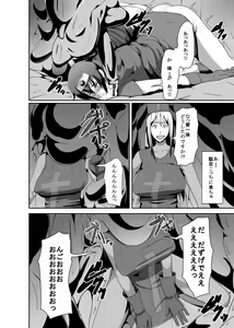 Page 12 of REDLEVEL3 - preview thumbnail