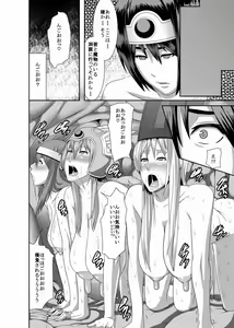 Page 26 of REDLEVEL3 - preview thumbnail