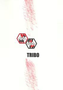 Page 34 of Meniscuska Asuka Tempest - preview thumbnail