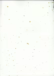 Page 2 of Cowaremono - preview thumbnail