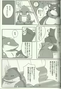 Page 21 of DSKY Go - preview thumbnail