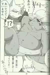 Page 49 of DSKY Go - preview thumbnail