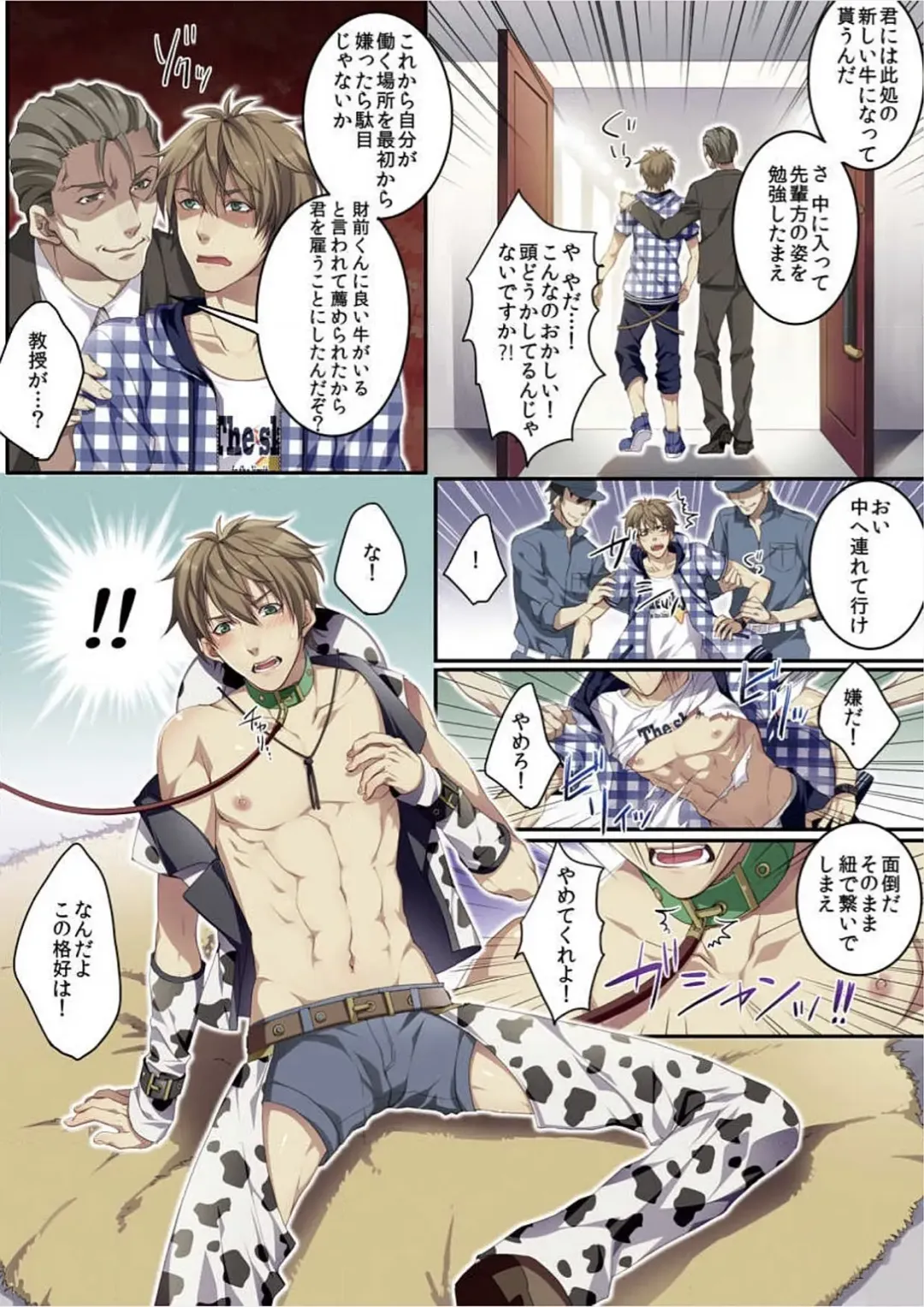 [Kairi] Osuchichi 801 Bokujou de Sakunyuu Taiken Fhentai - Page 13