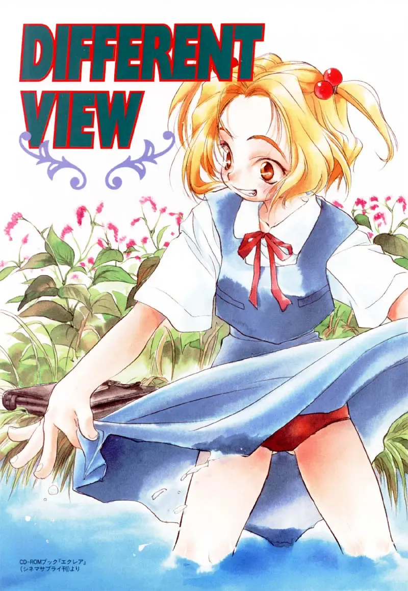 [Nawoko] Different View Fhentai - Page 4