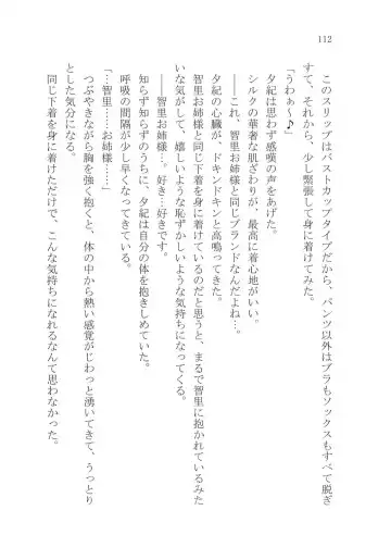 [Karura Syou] Naisho no Yuuki, Onee-sama no Yuuwaku Fhentai - Page 118