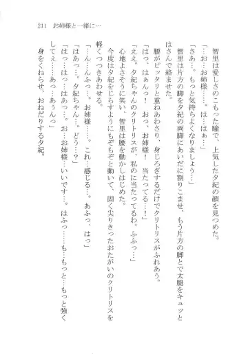 [Karura Syou] Naisho no Yuuki, Onee-sama no Yuuwaku Fhentai - Page 217