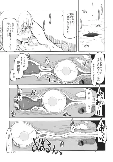 [Ryo] Dosukebe Elf no Ishukan Nikki 3 Fhentai - Page 17