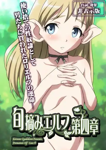 [Ketsune] Shuntsumi Elf Daiyonshou Fhentai - Page 54