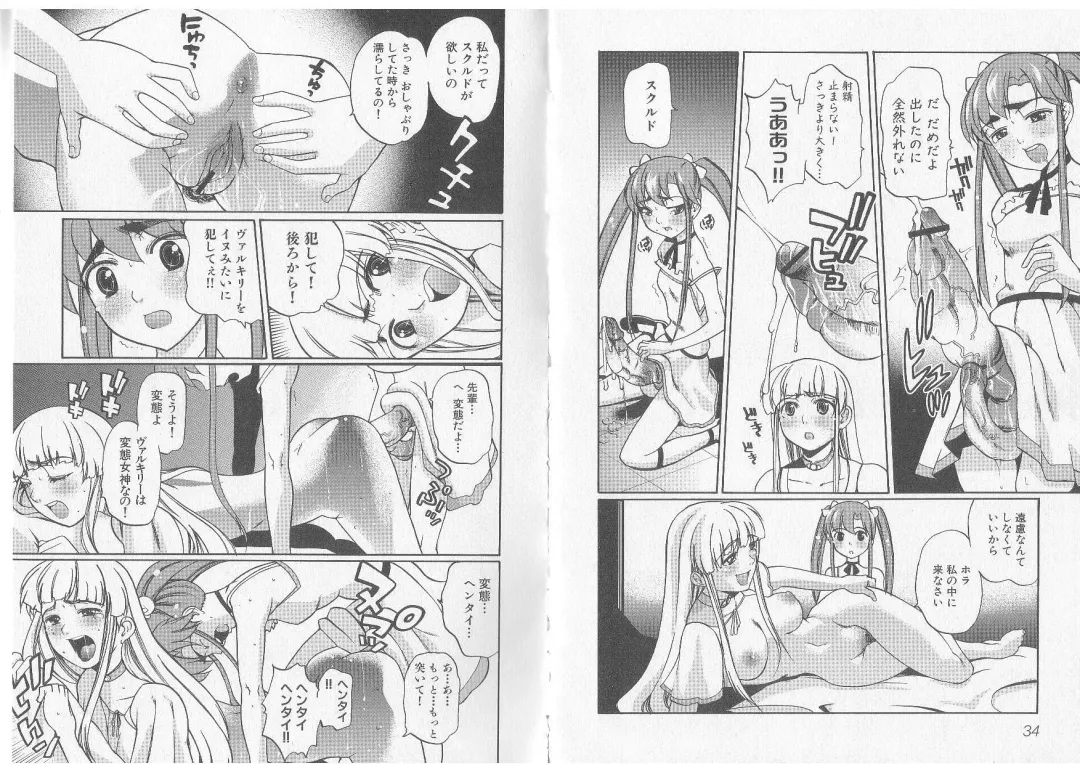 Ikusa Otome Valkyrie 'Anata ni Subete wo Sasagemasu' Fhentai - Page 19