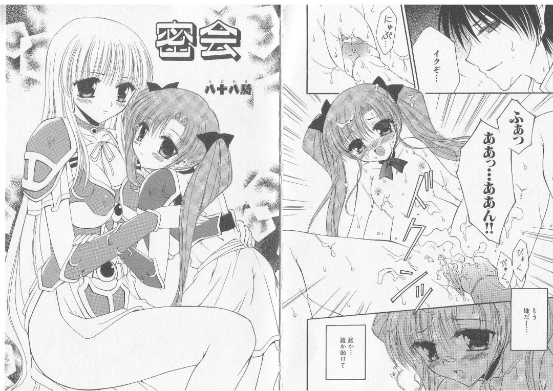 Ikusa Otome Valkyrie 'Anata ni Subete wo Sasagemasu' Fhentai - Page 46