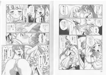 Ikusa Otome Valkyrie 'Anata ni Subete wo Sasagemasu' Fhentai - Page 17