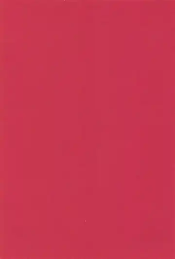 [Masago] Musashi-san to Hime Hajime Fhentai - Page 2