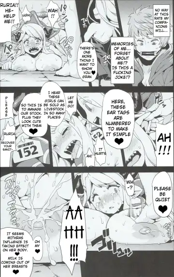[Obui] Hentai Draph Bokujou Fhentai - Page 13