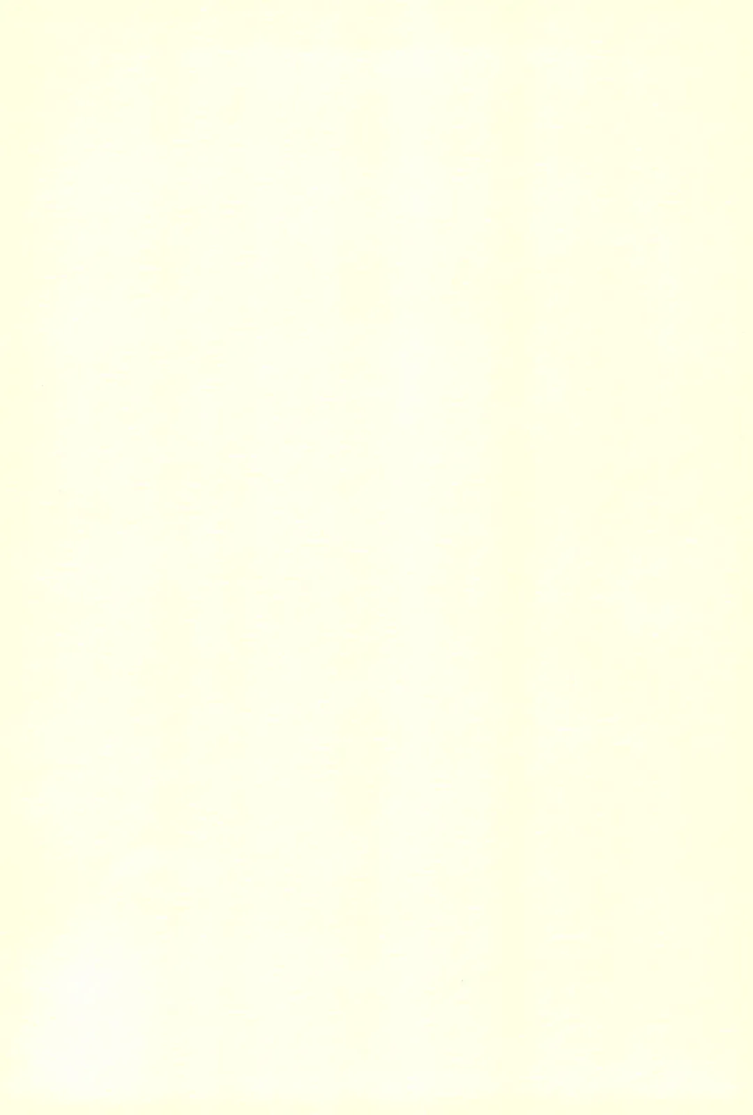 [Demag] Nakayoshi Fhentai - Page 2