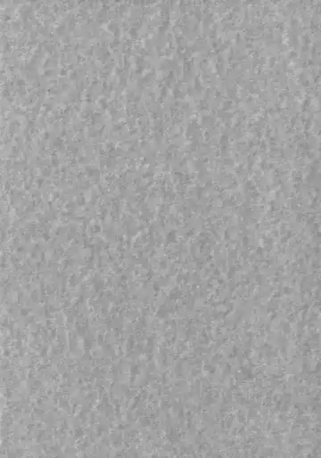 [Sasaki Akira] Mikkai - Secret Assignation Fhentai - Page 2