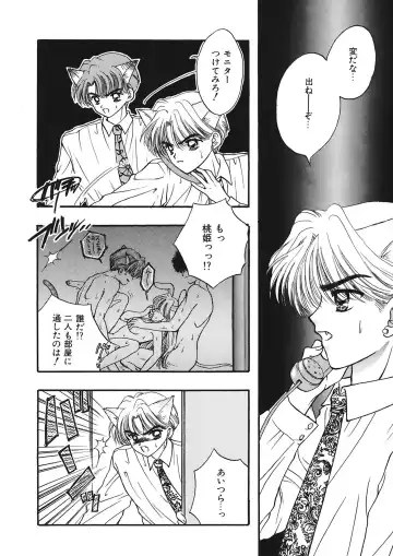 [Ozaki Miray] TO KI ME KI Fhentai - Page 146