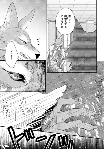 [Hasumi Hana] Pendulum: Kemonohito Omegaverse Fhentai - Page 107