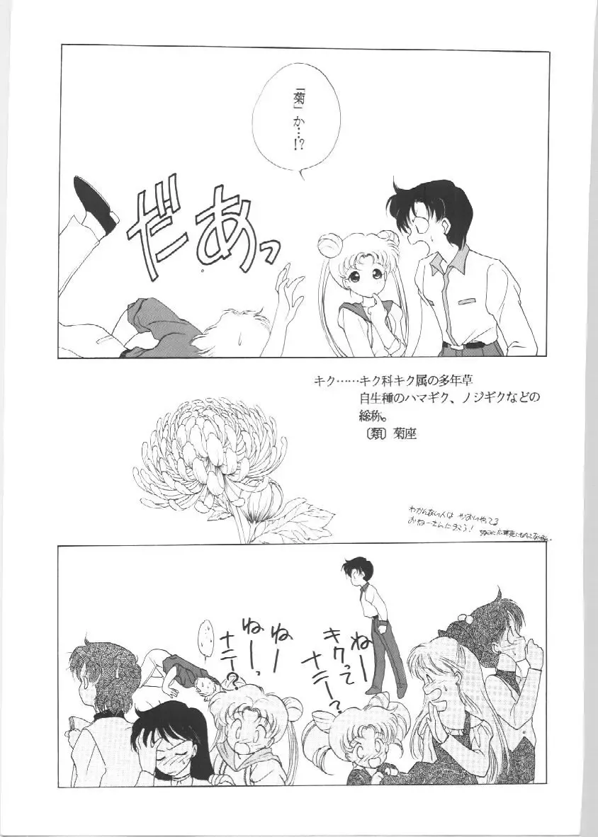 [Tatsuneko] SAILORS EX VERSION Fhentai - Page 11