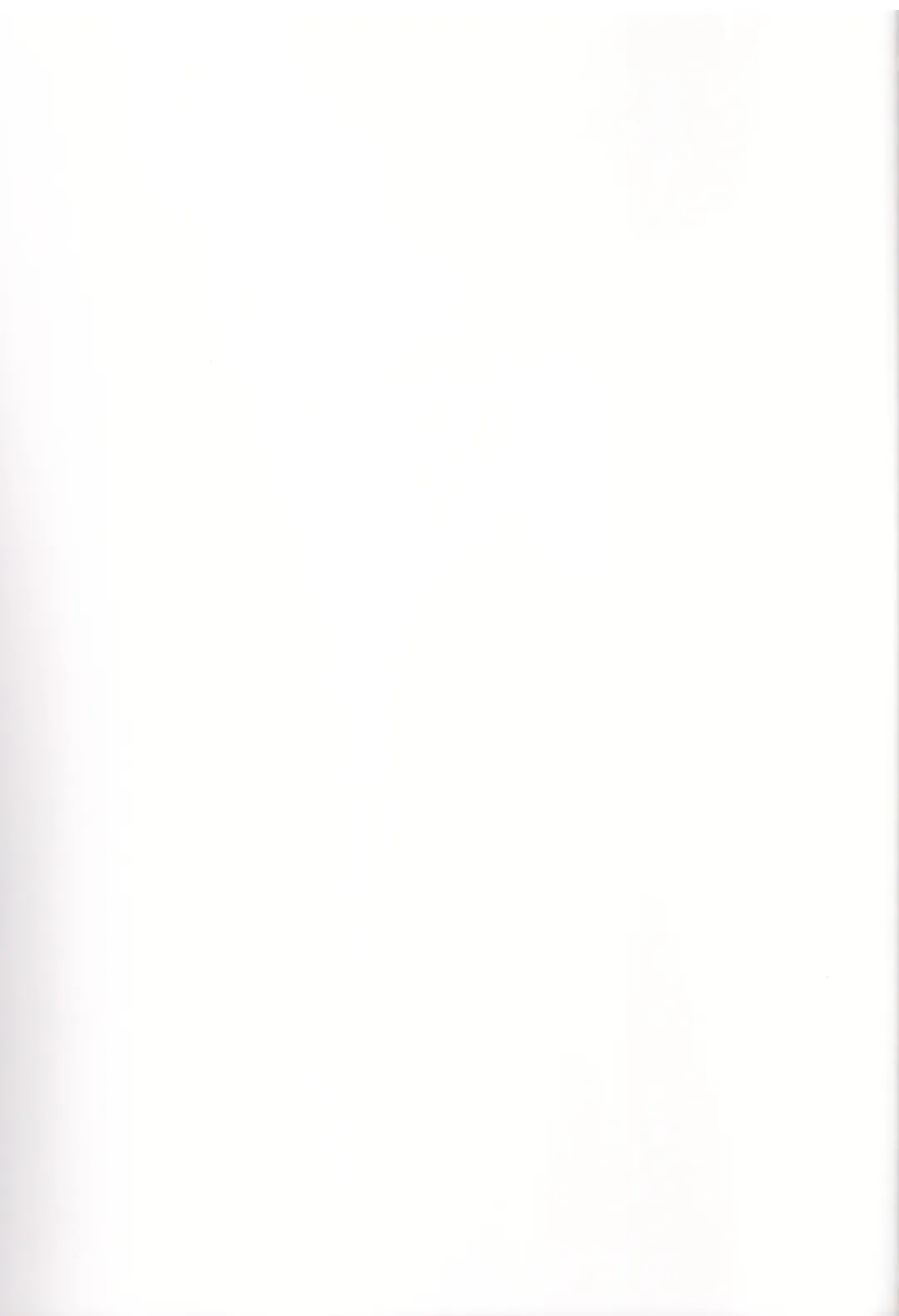 [Kita Kaduki - Mach Ii] Virgin na Wolf nante Kowaku nai Fhentai - Page 47