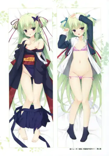 [Kobuichi - Muririn] Senren*Banka Official Visual Fan Book Fhentai - Page 20