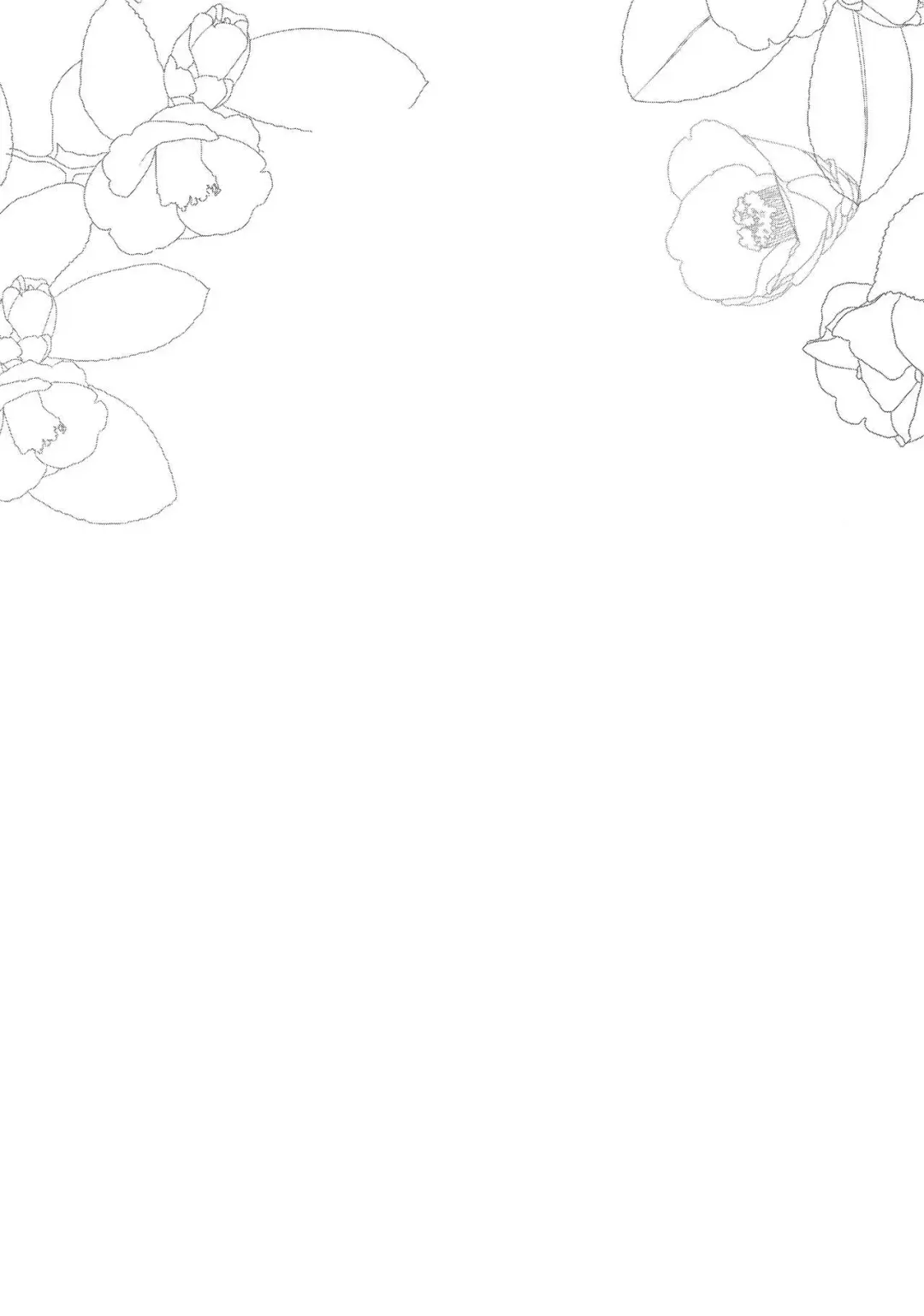 [Pochi.] Ane Naru Mono 4 | An Elder Sister 4 Fhentai - Page 3