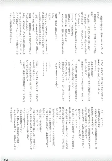 Purimusu! Soukangou Fhentai - Page 24