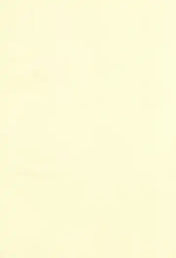 [Okina] INVISIBLE STALKER Fhentai - Page 2