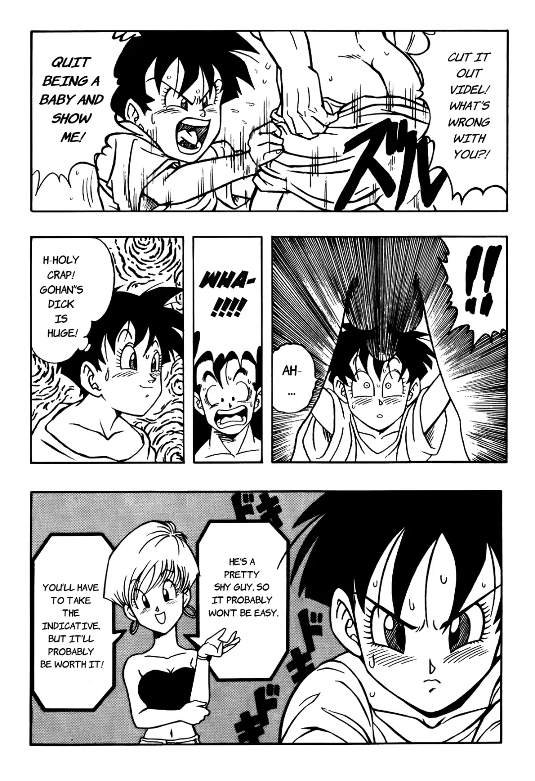 [Garland] Dragon Ball H - Gohan & Videl Fhentai - Page 14