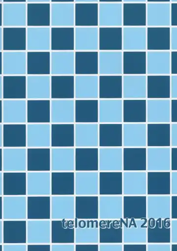 [Gustav] Maid Minami no Gohoushi Full Course Fhentai - Page 22