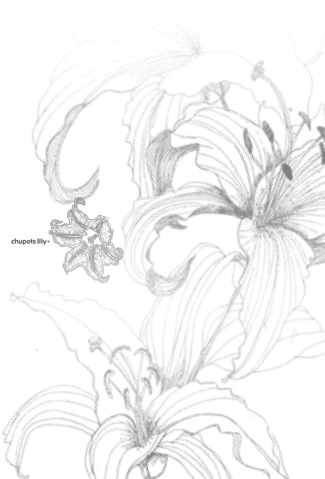 [Equal] chupets lily+ Fhentai - Page 3